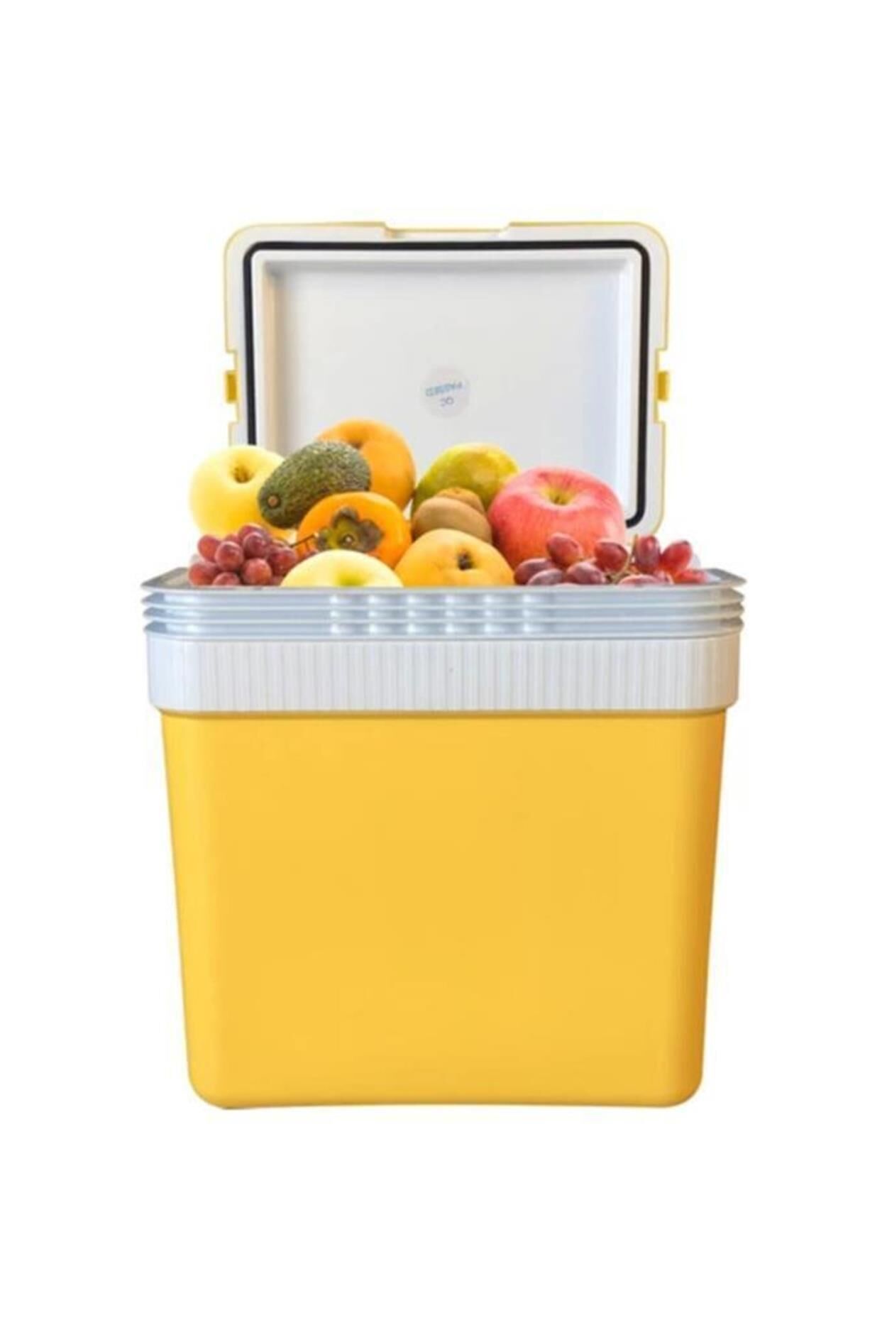 Icepeak Buzluk SF26 Taşıma Çantası 26 Lt Sarı