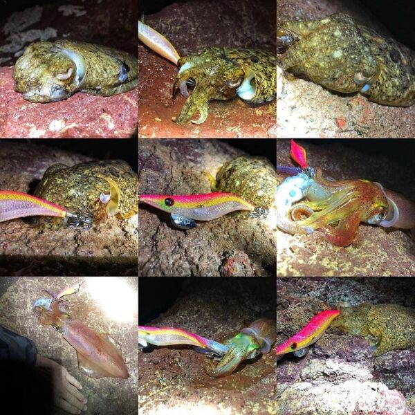 Dtd Retro Bukva Jig 8cm Glowlu Kalamar Zokası GREEN