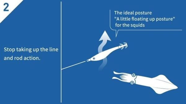 Yamashita Upper 95 mm Kalamar Zokası