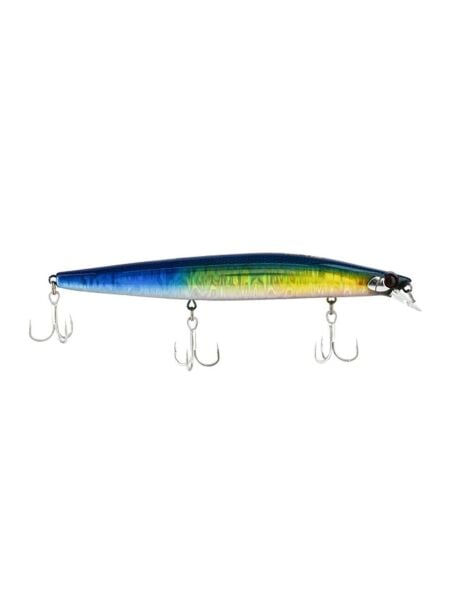 Red Belly Sardine