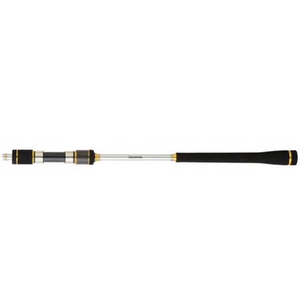 Daiwa Megaforce CF 180cm 30-80gr 2 Parça Jig Kamışı