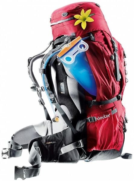 Deuter Air Contact SL 60+10 Lt Sırt Çantası KIZILCIK - TAŞ