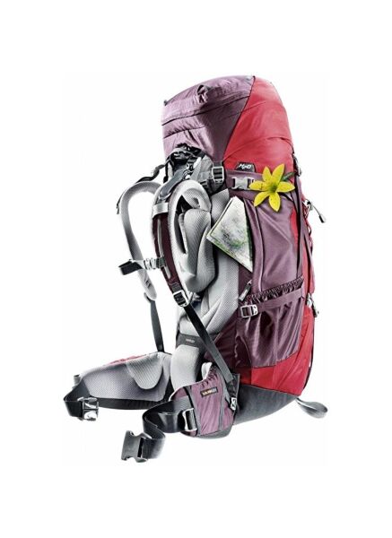 Deuter Air Contact SL 60+10 Lt Sırt Çantası KIZILCIK - TAŞ