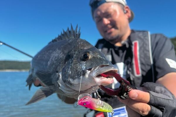 BlueBlue Inemun 60 6gr Topwater Plug Maket Yem