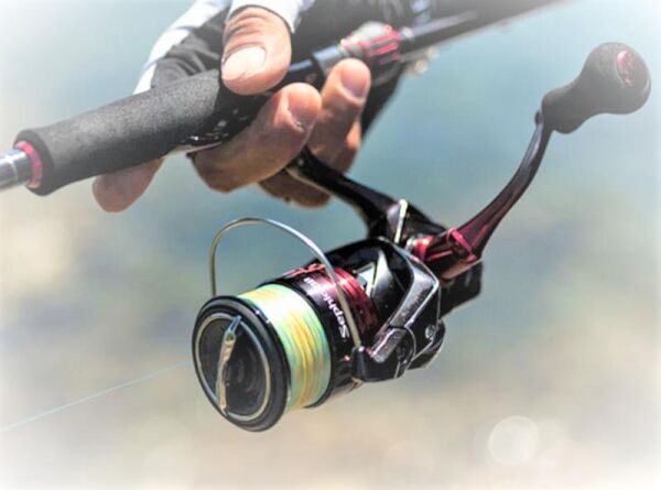 Shimano Sephia BB C3000S Olta Makinesi