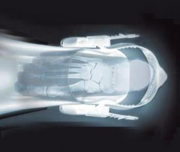 Cressi Master Frog Dalış Paleti