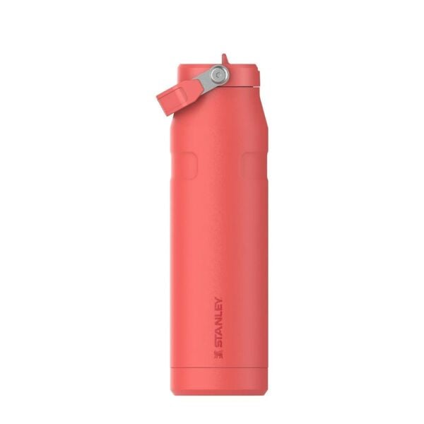 Hot Coral