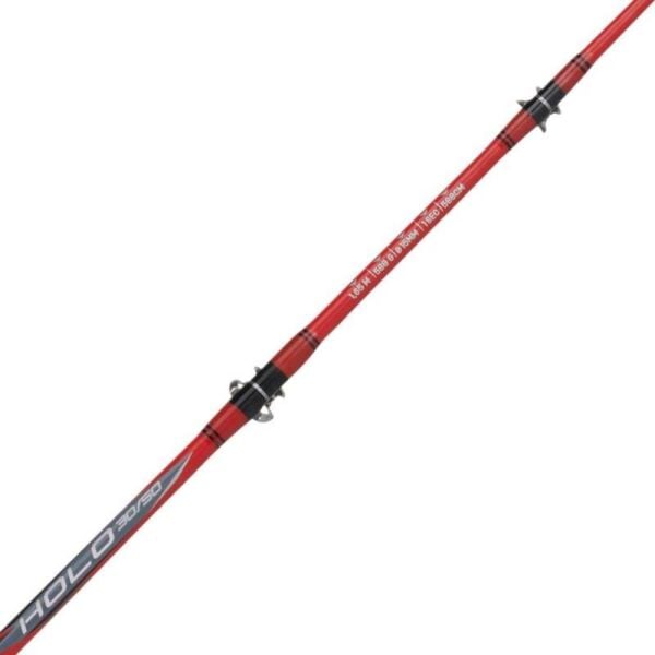 Kali Kunnan Holo Trolling Tekne Olta Kamışı Standart - 165CM 30-50LB