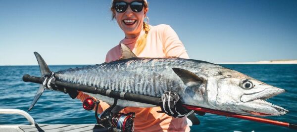 Daiwa Saltiga Dura Sensor EX+Si3 12x Braid İp Misina MULTİCOLOR - 300 MT - 0,18 MM