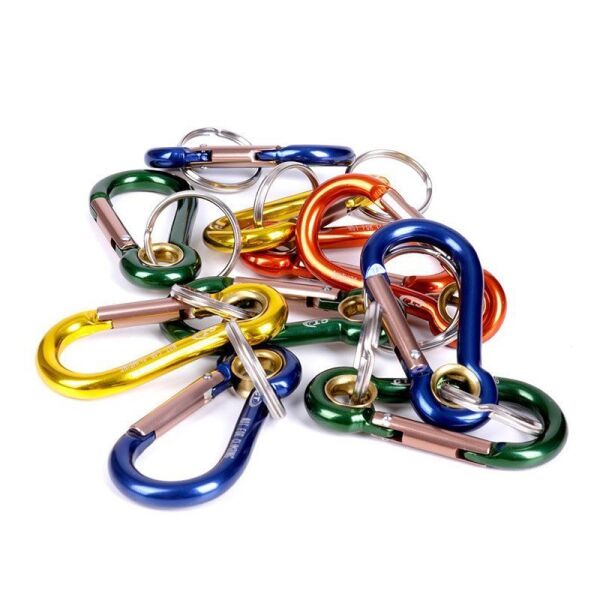 Climbing Technology Renkli Anahtarlık Karabina