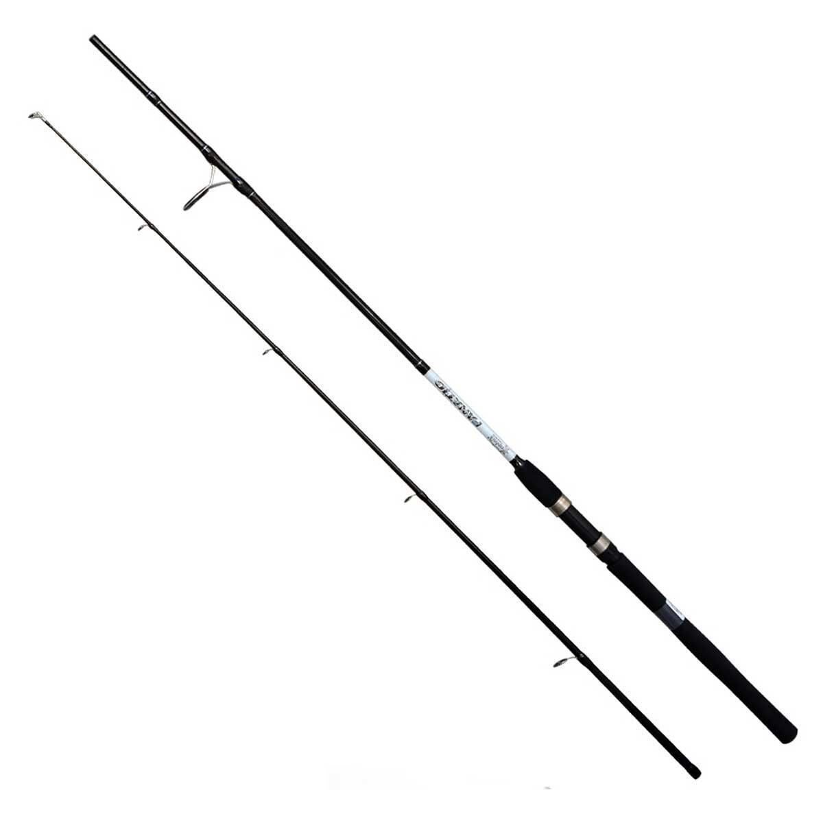 Captain Fanatic 240cm 10-30gr Spin Olta Kamışı