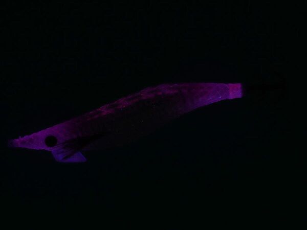 Daiwa Emeraldas Shine LC 2.5 Laser Impact 12gr Kalamar Zokası Pink Glow Laser