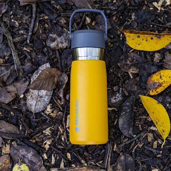 Stanley The Iceflow Pipetli Paslanmaz Çelik Soğuk Su Termosu 0.65 LT TURUNCU