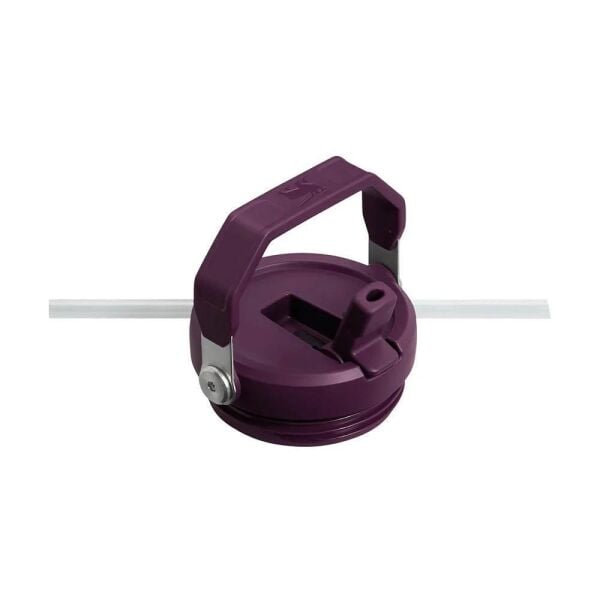 Stanley The IceFlow Flip Straw Pipetli Termos Bardak 0,89 Lt TURUNCU