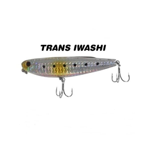 TRANS IWASHI