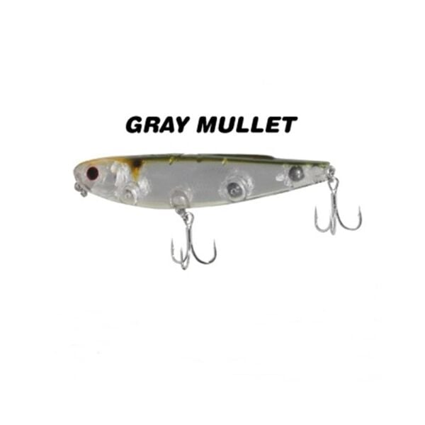 GRAY MULLET