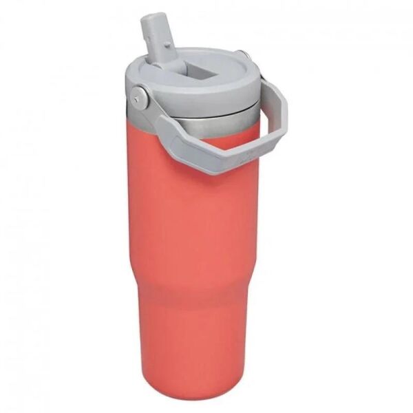 Stanley The IceFlow Flip Straw Pipetli Termos Bardak 0,89 Lt Açık Mercan