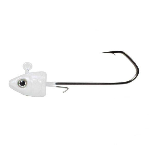 Ryuji Fish Jig Head İğne