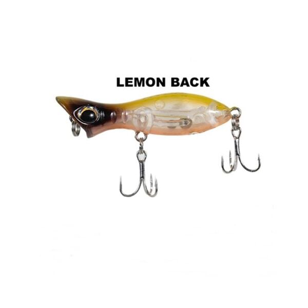 LEMON BACK