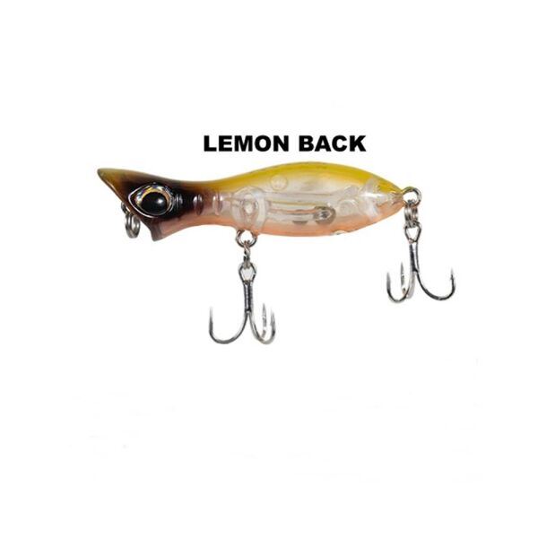 LEMON BACK