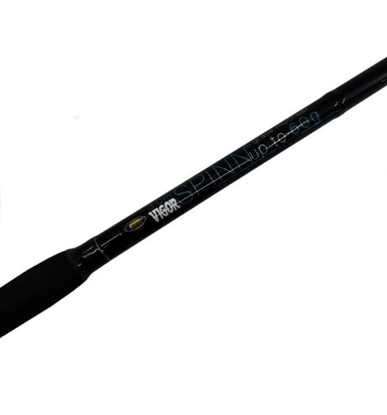 Lineaeffe Vigor Spinn 300 cm 60 gr Spin Kamışı