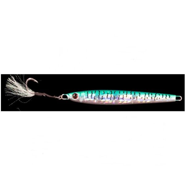 MACKEREL