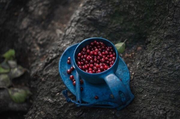 Kupilka 21 Klasik Kuksa Kupa MAVİ