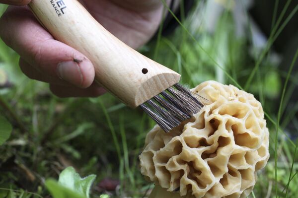 Opinel Inox N°08 Mushroom Mantar Bıçağı