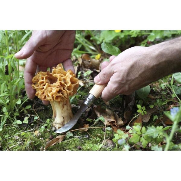 Opinel Inox N°08 Mushroom Mantar Bıçağı