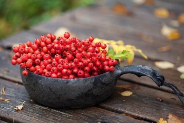 Kupilka 55 Kuksa Kase K55 SİYAH