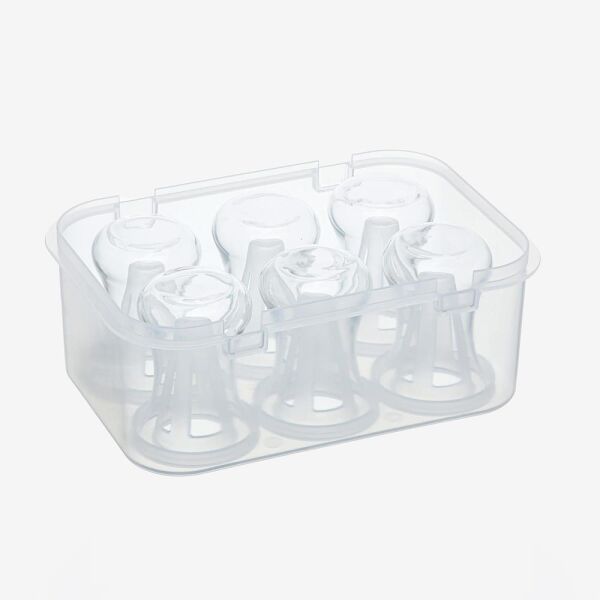 Campout Çay Bardağı Taşıma Kutusu 6\'Lı