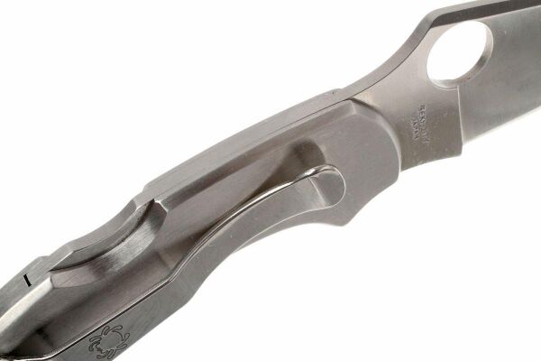 Spyderco Dragonfly SS C28P Çakı