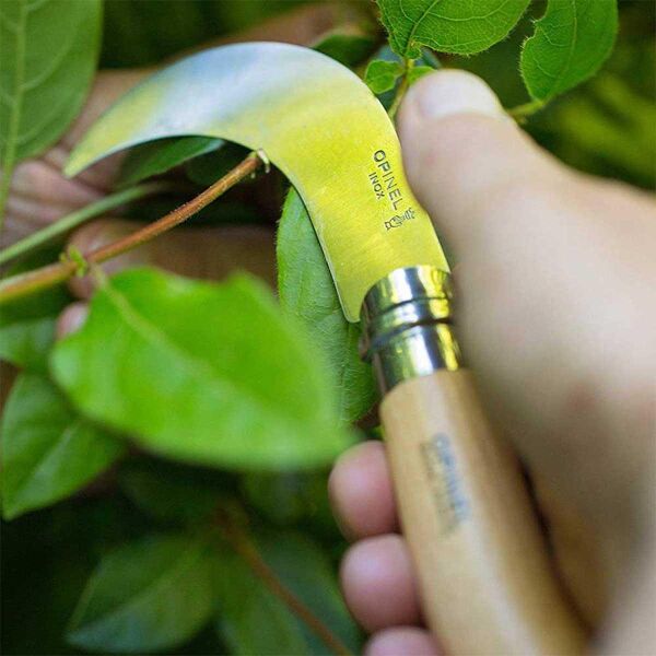 Opinel Inox No 10 Kayın Saplı Paslanmaz Çelik Bag Çakısı