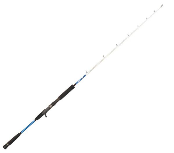 Savage Gear Salt 1DFR Jigging 168 cm Trigger MH 200-350 gr Tek Parça Olta Kamışı