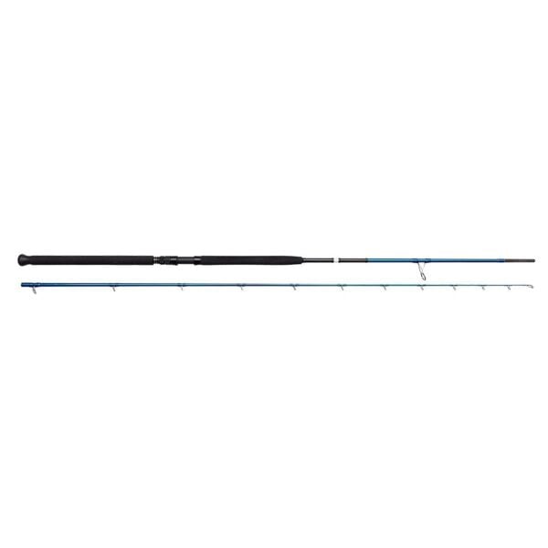 Savage Gear SGS2 Shore Jigging 290 cm 20-80 gr 2 Parça Jig Kamışı