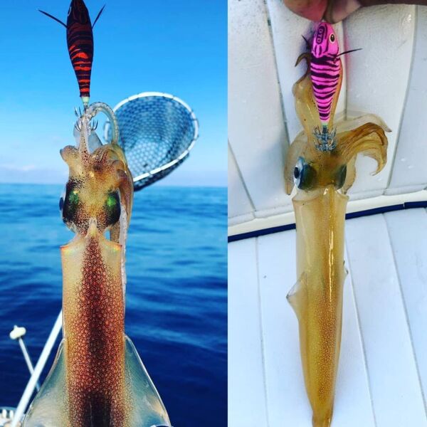 DTD Toro 3.0 Pink Body Sinking Speed 80 mm 13.2 gr Kalamar Zokası BLACK