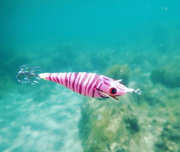 DTD Toro 3.0 Pink Body Sinking Speed 80 mm 13.2 gr Kalamar Zokası BLACK