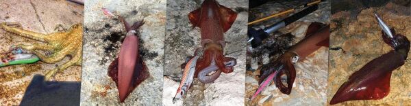 DTD White Killer Egi 3.5 Glow Sinking Speed 105 mm 17.2 gr Kalamar Zokası ORANGE