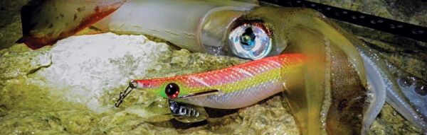 DTD Retro OITA 3.0 Glow Sinking Speed 96 mm 16.2 gr Kalamar Zokası PİNK