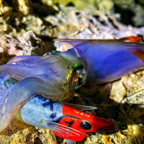 DTD X-Egi 3.0 Basic Sinking Speed 96 mm 16.2 gr Kalamar Zokası ORANGE