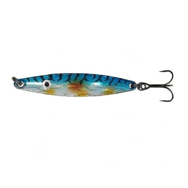 Blue Mackerel