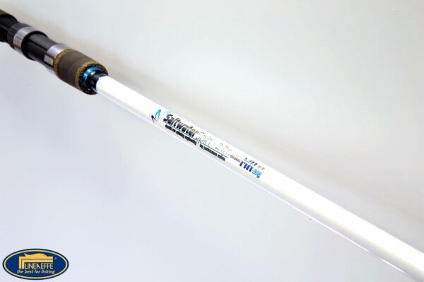 Lineaeffe Saltwater Spın 3.00Mt 70gr Spınnıng Kamışı