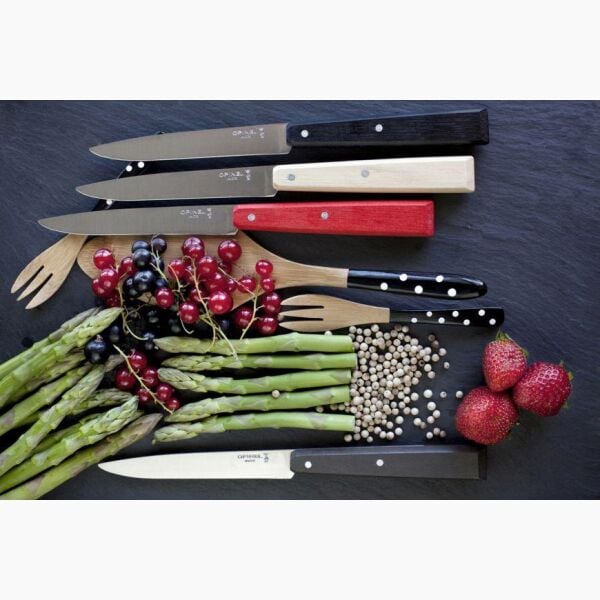 Opinel Bon Appetit Loft N°125 Sofra Bıçak Seti (4'lü-Renkli)