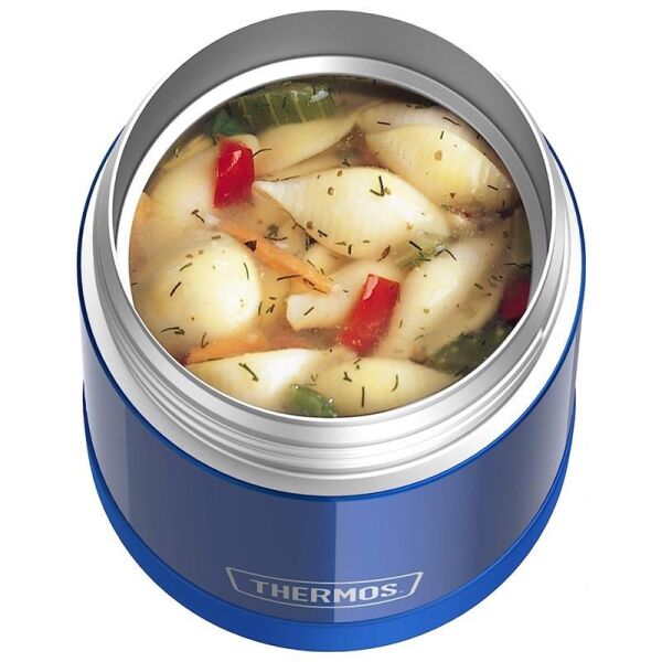 Thermos F300 Funtainer SS Çocuk Yemek Termosu 0,29 Lt MAVİ