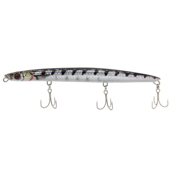 Barracuda PHP