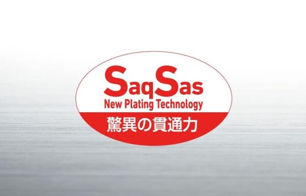 Daiwa Gekkabijin Ajing SW Light Jig Head SS İğne