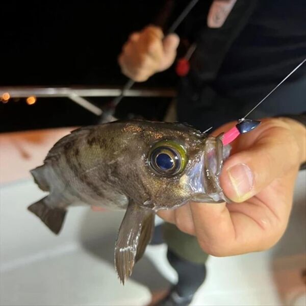 Daiwa Gekkabijin Darting Jig Head SS İğne