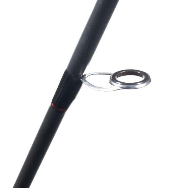 Ryuji Spectra SP 198cm 70-300gr 2 Parça Bot Kamışı