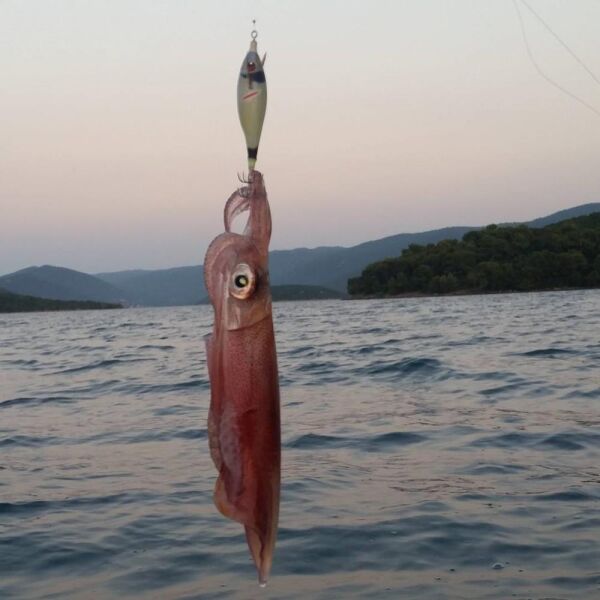 DTD Wounded Fish Egi 3.5 Glow 105 mm 17.5 gr Kalamar Zokası Oblada Melanura