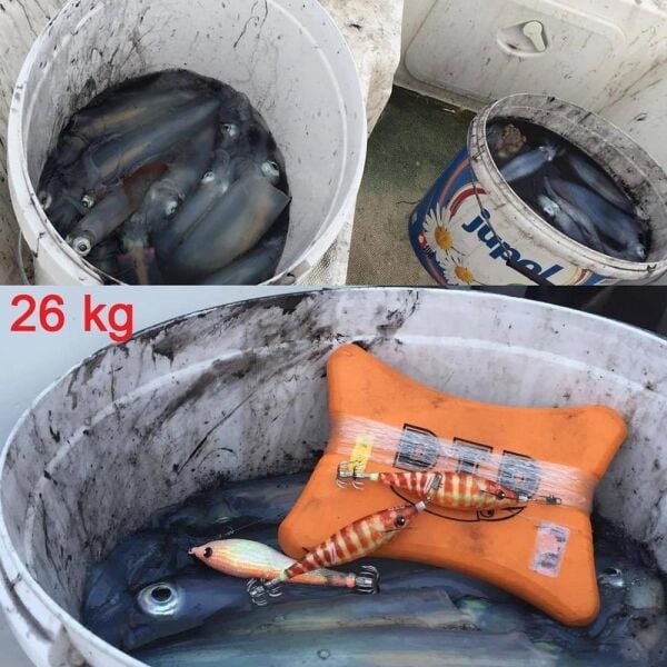 DTD Wounded Fish Egi 3.5 Glow 105 mm 17.5 gr Kalamar Zokası Oblada Melanura